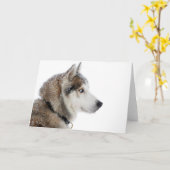 Carte Beautiful Siberian Husky dans le Snow (Fleur jaune)