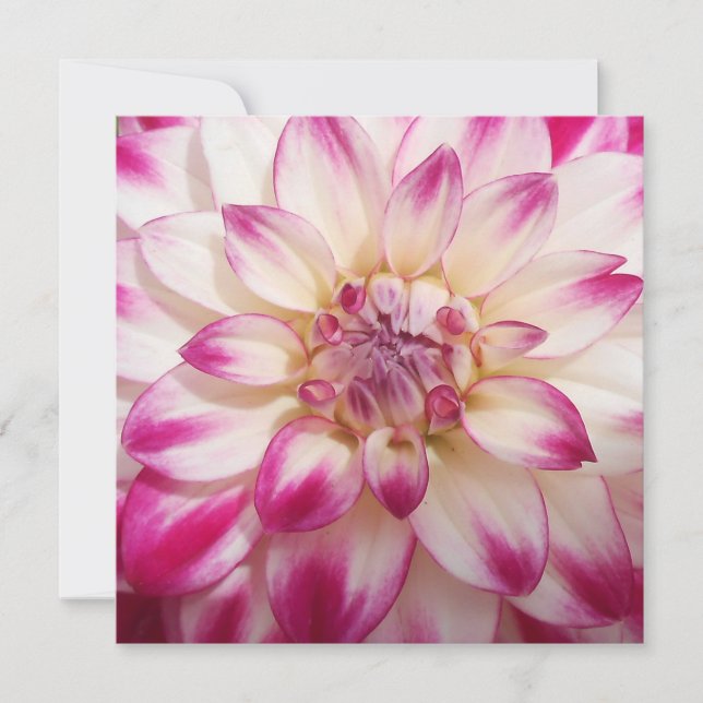 Carte Beaux (Devant)