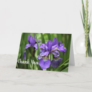 Carte Beaux Iris Violets Merci