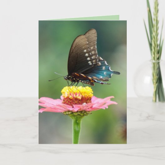 Carte Beaux Papillons (Devant)