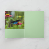 Carte Beaux Papillons (Intérieur)