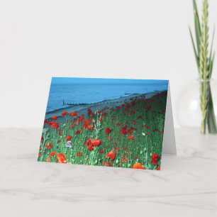 Carte Beaux papillons rouges en front de mer du sud