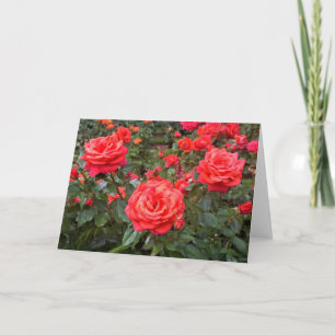 Carte Beaux Roses, Portland, Oregon