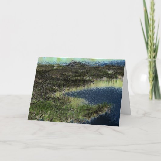 Carte "Beaver Lodge I" Numériquement étang transformé (Devant)