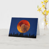 Carte Beaver Moon en novembre (Fleur jaune)