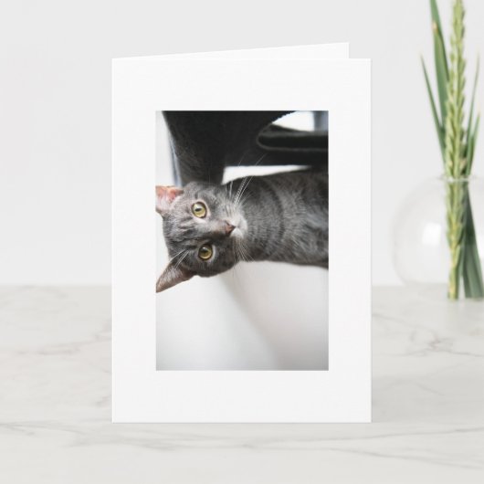 Carte Bébé Bug (Devant)