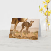 Carte Bébé Camel (Fleur jaune)