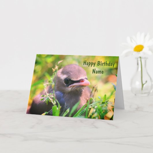 Carte Bébé cirage Oiseau Personnalisé Anniversaire (Petite plante)