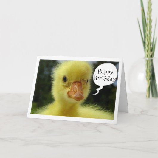 CARTE BÉBÉ DUCK ESPÈRE QUE VOTRE ANNIVERSAIRE N'EST QUE (Devant)