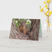 Carte Bébé écureuil mignon dans un arbre Vierge (Fleur jaune)