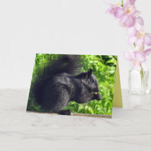 Carte Bébé écureuil noir mignon mangeant des graines dan