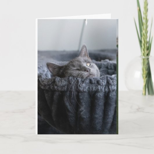 Carte Bébé El (Devant)