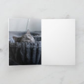 Carte Bébé El (Intérieur)