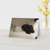 Carte Bébé et chien (Fleur jaune)