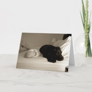 Carte Bébé et chien