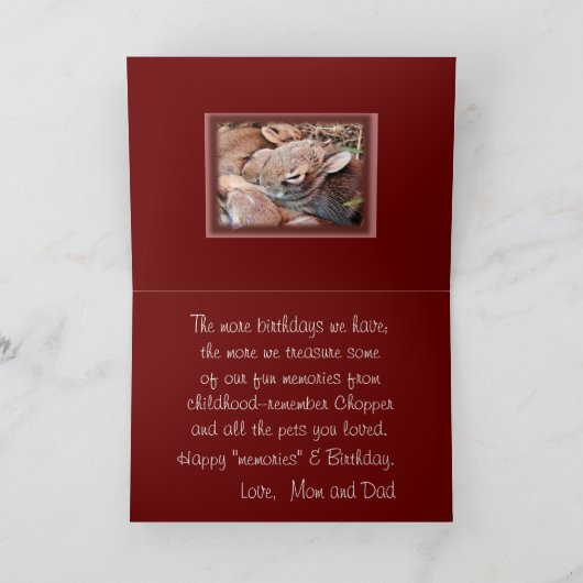 Carte Bébé Lapin-toute occasion-personnaliser (Intérieur)