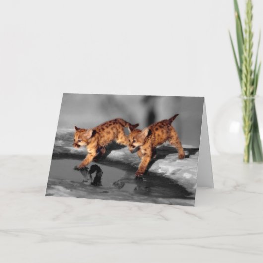 Carte Bébé léopards (Devant)