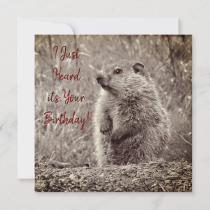 Carte Bébé marmotte en NOIR ET BLANC Anniversaire