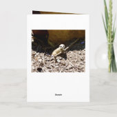 Carte Bébé Meerkat, anniversaire d'Insy Winsy (Dos)