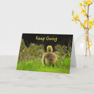 Carte Bébé Oiseau Nature Encouragement