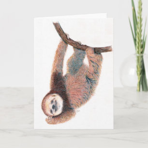 Carte Bébé paresseux se grooming