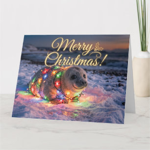 Carte Bébé phoque mignon enveloppé de lumières de Noël 