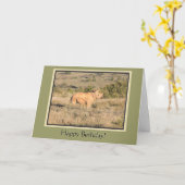 Carte Bébé Rhino Joyeux anniversaire (Fleur jaune)