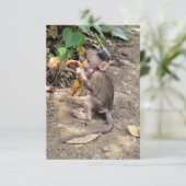 Carte Bébé singe (Debout devant)