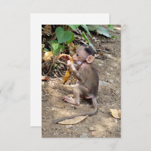 Carte Bébé singe (Devant / Derrière)