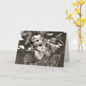 Carte Bébés de marmotte (Fleur jaune)