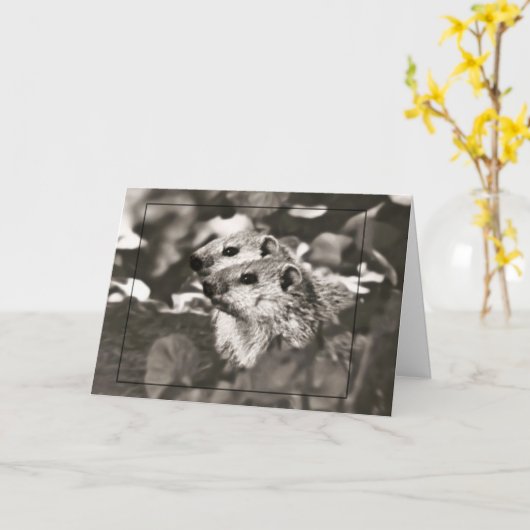 Carte Bébés de marmotte (Fleur jaune)