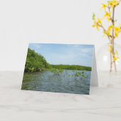 Carte Bébés palétuviers dans les Caraïbes (Fleur jaune)