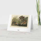 Carte Bécasse américaine d'Audubon's Birds of America (Dos)