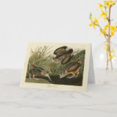 Carte Bécasse américaine d'Audubon's Birds of America (Fleur jaune)