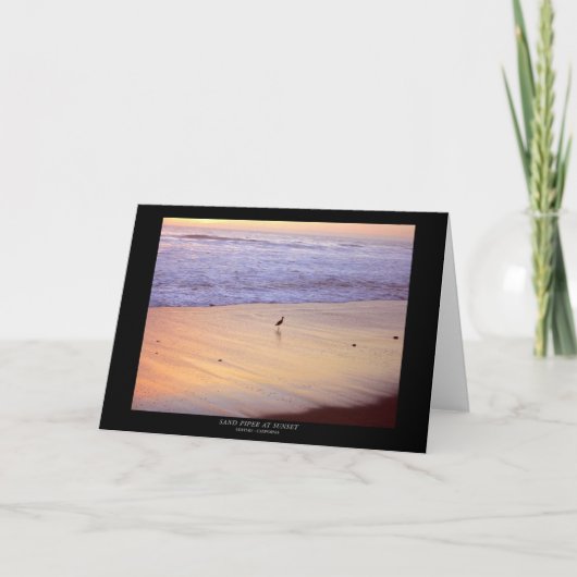 Carte Bécasseau au coucher du soleil : Plage de Ventura (Devant)