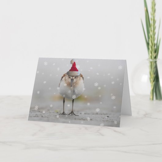 Carte Bécassiers Endormis Noël (Devant)