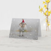 Carte Bécassines endormies Noël (Fleur jaune)