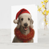 Carte Bedlington Terrier in a Santa hat Christmas card (Fleur jaune)