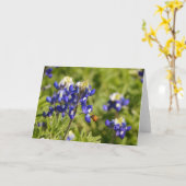 Carte Bee and Bluebonnets Scriture Card 2 Peter 1:5-8 (Fleur jaune)