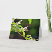 Carte Bee Blossom Scripture Card Psaume 119:103 (Devant)