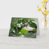 Carte Bee in summer (Fleur jaune)