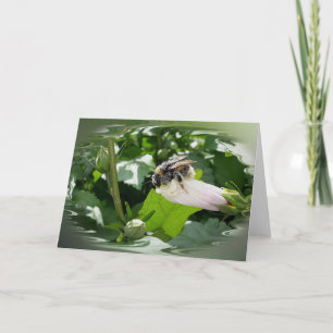 Carte Bee in summer