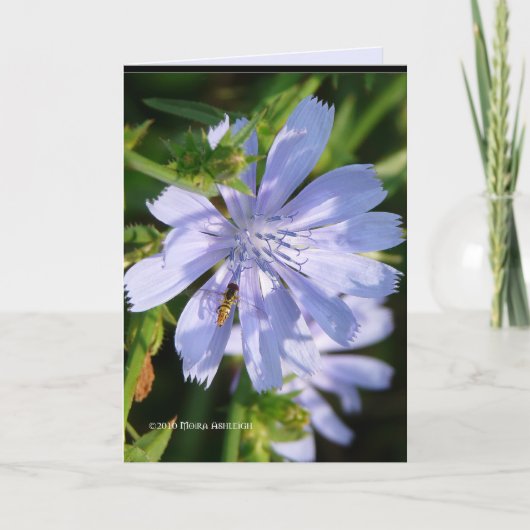 Carte Bee on the Wild Blu (Devant)