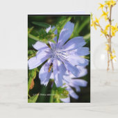 Carte Bee on the Wild Blu (Fleur jaune)