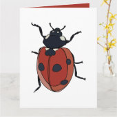 Carte Beetles Insectes Ladybug Beetles (Fleur jaune)