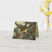 Carte Bel oiseau cardinal femelle (Fleur jaune)