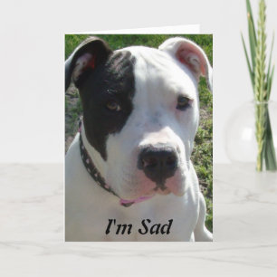 Carte Belated Birthday Card with Pittbull Dog