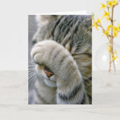 Carte Belated Birthday Gray Tabby Cat (Fleur jaune)