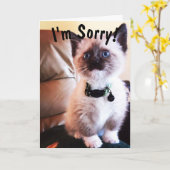 Carte Belated Birthday I'm Pardon Cute Siamese Kitten (Fleur jaune)