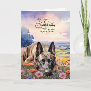 Carte Belge Malinois Champ de Fleur sauvage Sympathie po